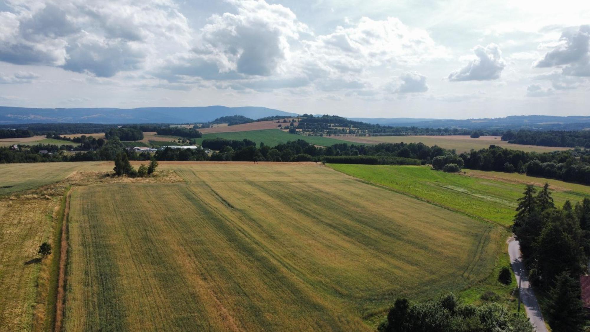 Roze I Jablonie Agroturystyka Gryfów Śląski Екстериор снимка
