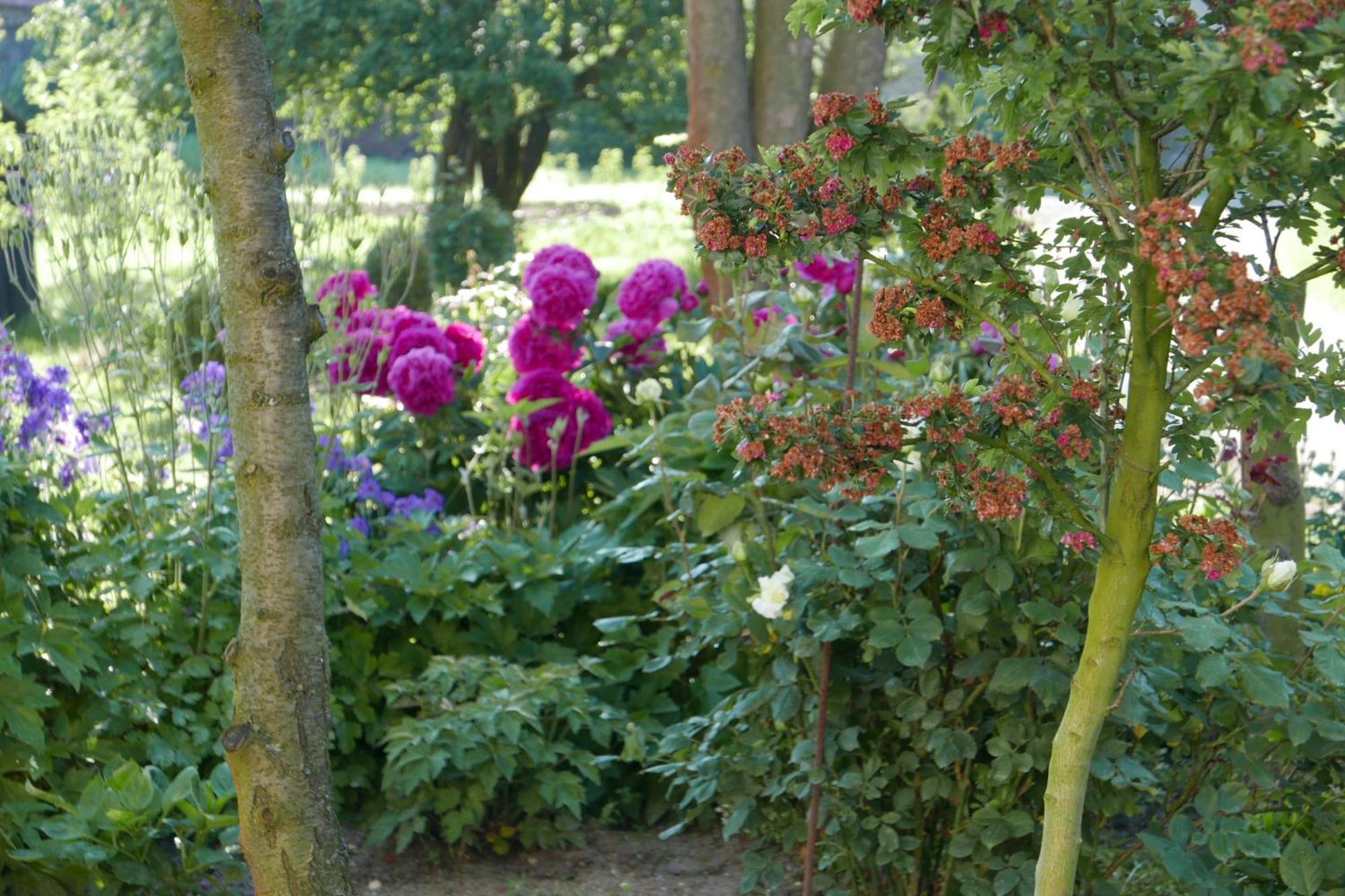 Roze I Jablonie Agroturystyka Gryfów Śląski Екстериор снимка
