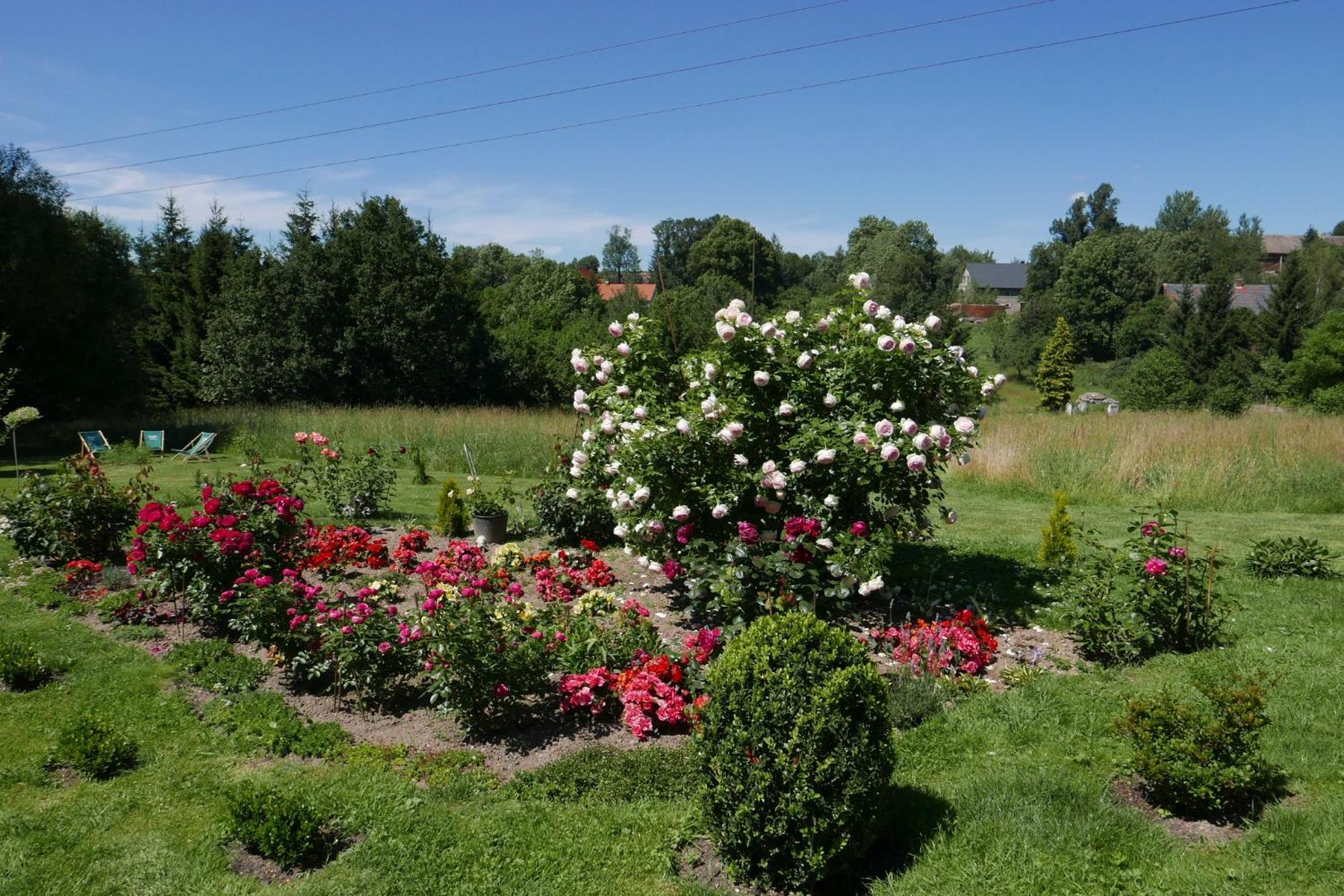 Roze I Jablonie Agroturystyka Gryfów Śląski Екстериор снимка